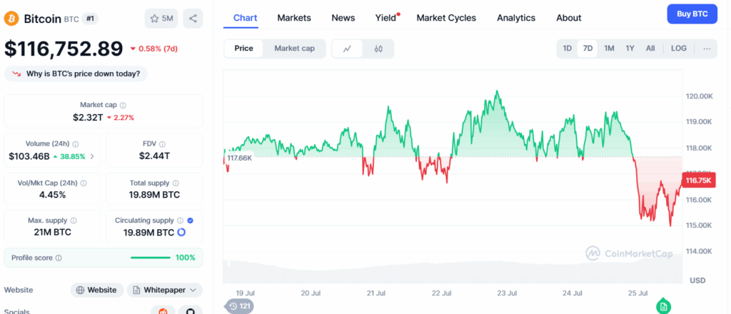 Bitcoin price at $116,752 with a weekly drop of 0.58%, according to CoinMarketCap chart between July 19 and 25, 2025.
