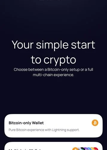 Klever Wallet home screen showing the choice between a Bitcoin-only wallet, with Lightning support, and a multichain wallet for multiple blockchains.
